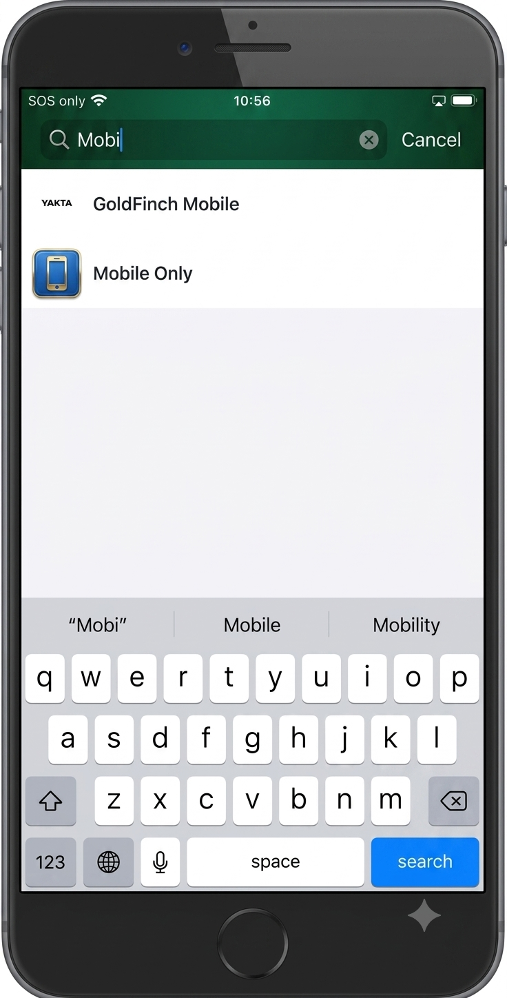 Salesforce Mobile Setup Pic 3 (2).png