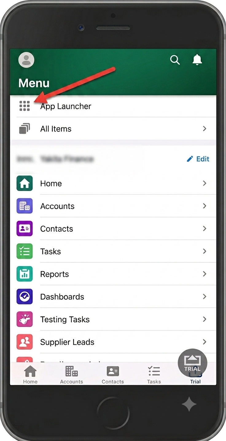 Salesforce Mobile Setup Pic 2.png